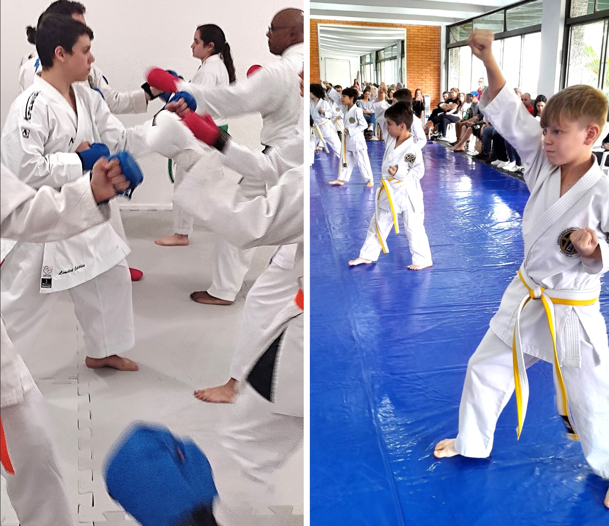 aonde treinar karate em porto alegre